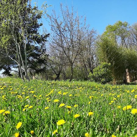 Chambre Soignee Et Accueillante A La Campagne - Ch. Jaune L'Honor-de-Cos Exteriör bild
