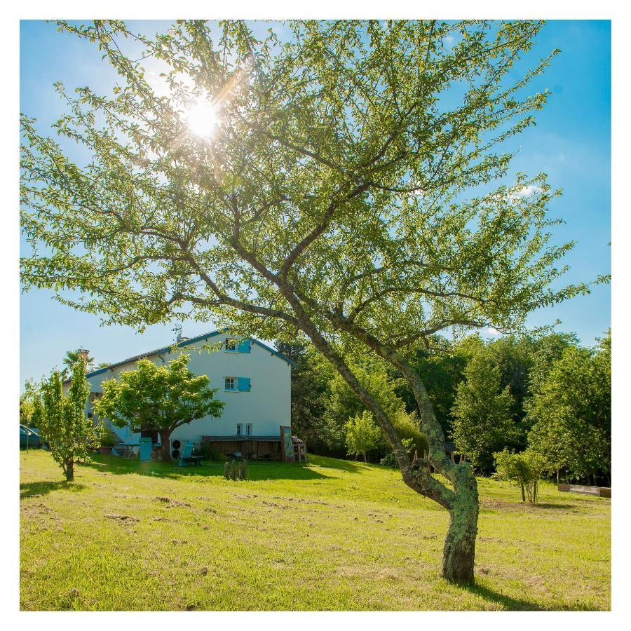 Chambre Soignee Et Accueillante A La Campagne - Ch. Jaune L'Honor-de-Cos Exteriör bild