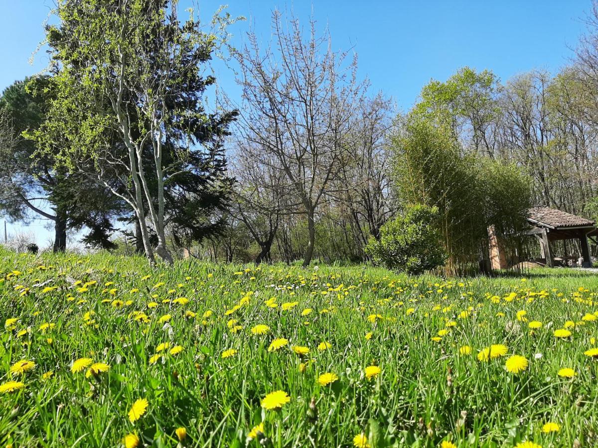 Chambre Soignee Et Accueillante A La Campagne - Ch. Jaune L'Honor-de-Cos Exteriör bild